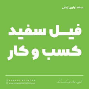 فیل سفید کسب و کار